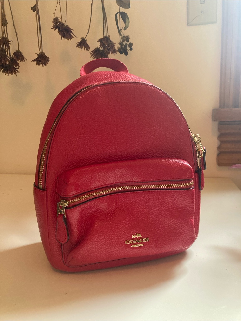Coach Charlie mini backpack